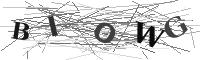 Please refresh your browser to see this image.